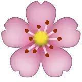 深化行業(yè)認(rèn)知，共謀發(fā)展新篇——中煤蒙大公司特邀孫惠民授課經(jīng)濟(jì)信息咨詢(xún)